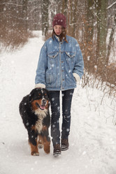 Similar image 21474565