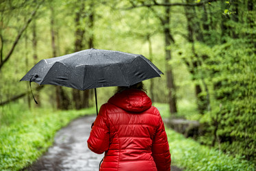 Similar image 21468711