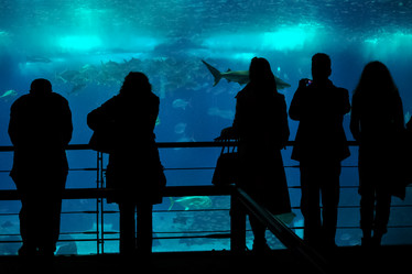 Similar image 21468712