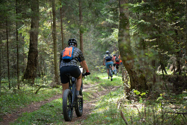 Similar image 21468722