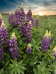 Similar image 21468736