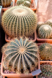 Similar image 21468737