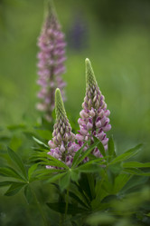 Similar image 21468738