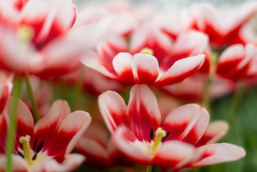 Similar image 21468739