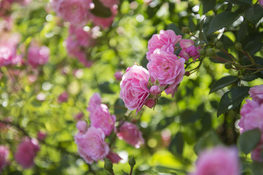 Similar image 21472654