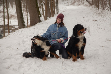 Similar image 21475708