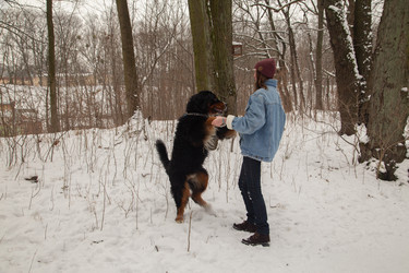 Similar image 21475710