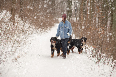 Similar image 21475736