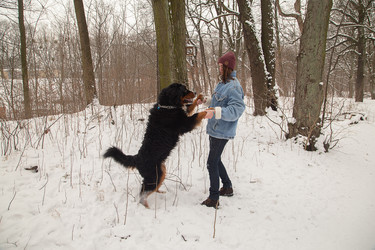 Similar image 21475739