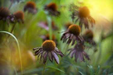 Similar image 21468744