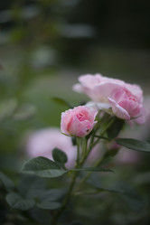 Similar image 21468745