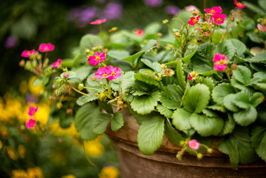 Similar image 21468749