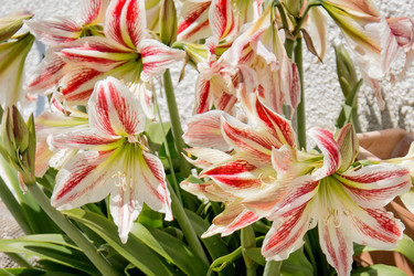 Similar image 21468750