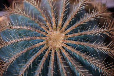 Similar image 21468752