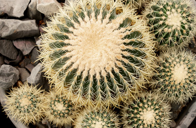 Similar image 21468753