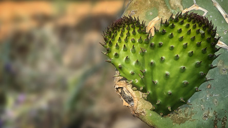 Similar image 21468754