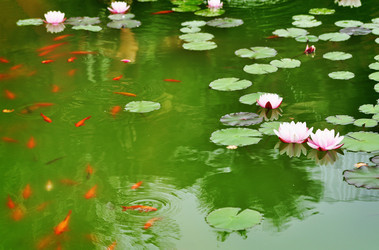 Similar image 21468756