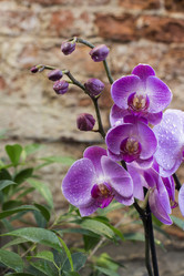 Similar image 21468757