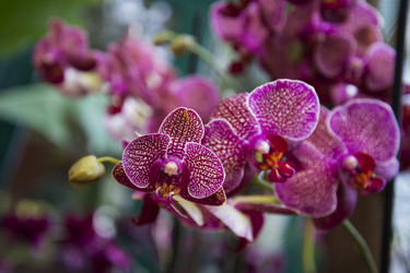 Similar image 21468758