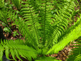 Similar image 21480803