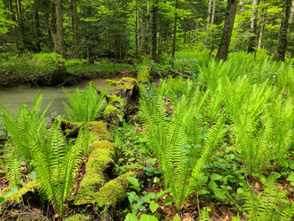 Similar image 21480809