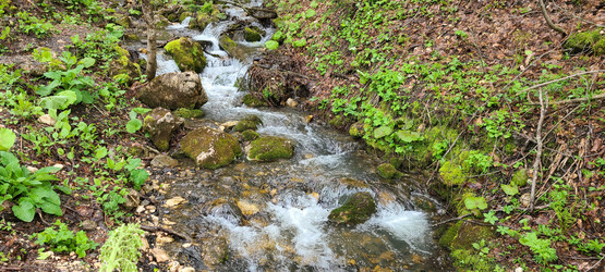 Similar image 21481274