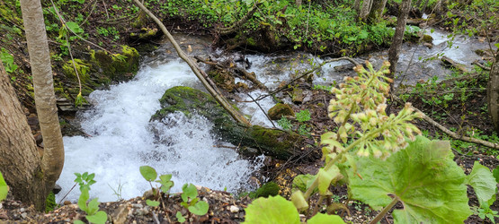 Similar image 21481275