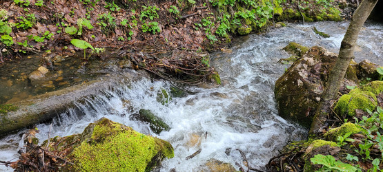 Similar image 21481276