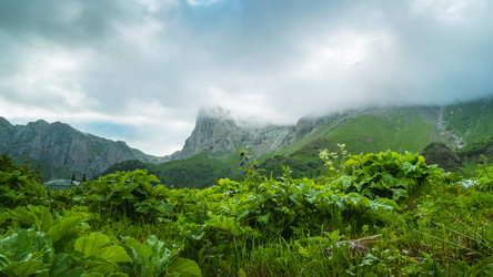 Similar image 21477338