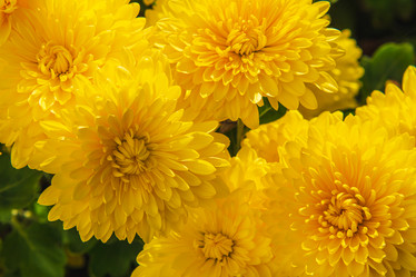 Similar image 21472672