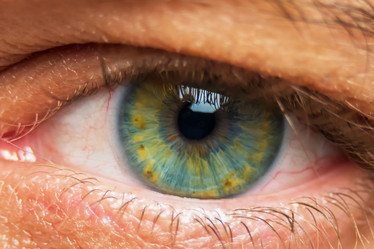 Similar image 21472676