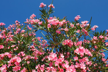 Similar image 21478258