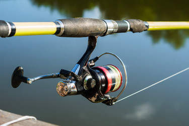 Similar image 21476954