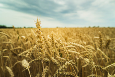 Similar image 21476959