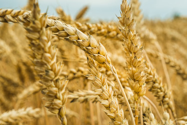 Similar image 21474777