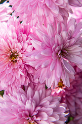 Similar image 21474780