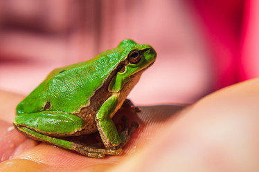 Similar image 21472688