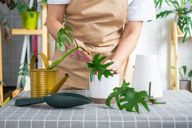 Similar image 21479461