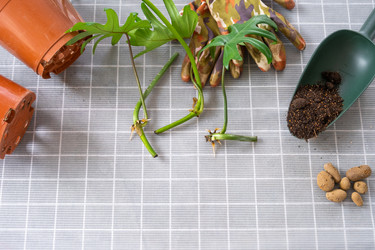 Similar image 21479462