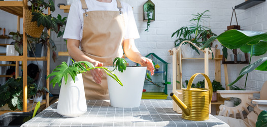 Similar image 21479463