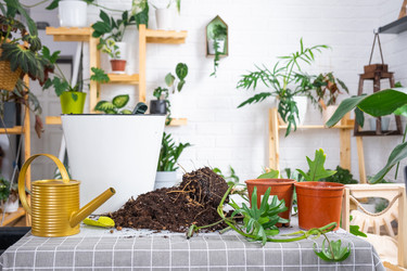 Similar image 21479466