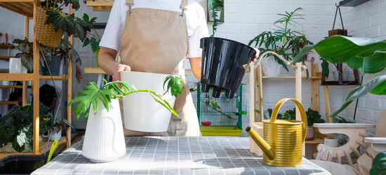 Similar image 21479467