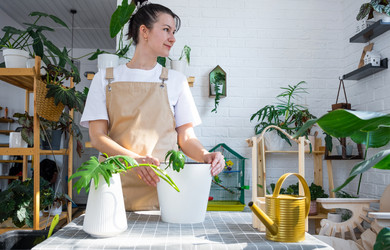 Similar image 21479468