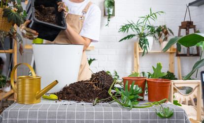 Similar image 21479470