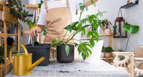 Similar image 21479472