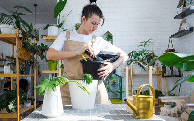 Similar image 21479477