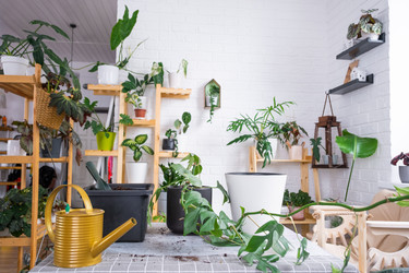 Similar image 21479480