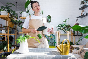 Similar image 21479483