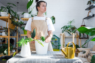 Similar image 21479485