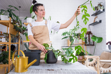 Similar image 21479486